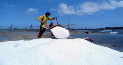 Seorang pria menuangkan garam dari gerobak dorong ke tumpukan besar di tambak garam